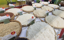 Vì sao Việt Nam chi 1 tỉ USD nhập khẩu gạo chỉ trong 7 tháng?