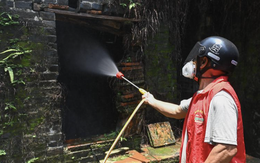 Trung Quốc "dốc toàn lực" dập dịch Chikungunya