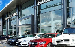 Quỹ ngoại Pyn Elite Fund giảm sở hữu tại Haxaco xuống dưới 11%