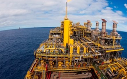 Giá rẻ bất ngờ, hơn 400 nghìn tấn hàng từ Việt Nam vừa đổ bộ Thái Lan: Thuế xuất khẩu 10%, thu về hơn 250 triệu USD kể từ đầu năm