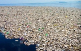 Khủng hoảng nhựa toàn cầu: Mỗi năm thiệt hại 1.500 tỷ USD, loài người bị đe dọa