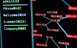 Hơn 200.000 mật khẩu bị đánh cắp chỉ bằng một mã độc, nghi vấn hacker Việt đứng sau?