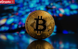 Giá Bitcoin vượt 110.000 USD: Có bao nhiêu người trên thế giới đang sở hữu trọn vẹn một Bitcoin?