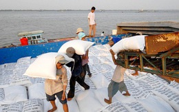 Vì sao đề nghị bỏ xuất khẩu gạo khỏi danh mục kinh doanh có điều kiện?