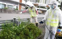 Dịch Chikungunya lan rộng: Hồng Kông (Trung Quốc) ghi nhận thêm ca mới, tất cả đều có chung một điểm