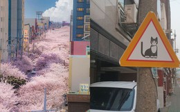 10 bức ảnh khiến mọi người muốn đến Hàn Quốc ngay lập tức