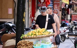 'Thị cô Tấm' xuống phố, giá 150.000 đồng/kg