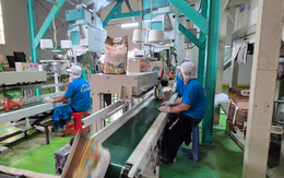 Xuất khẩu gạo không suôn sẻ