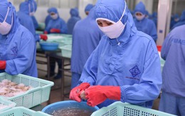 Thuế quan của Mỹ có hiệu lực từ 7-8, doanh nghiệp Việt chủ động thích ứng