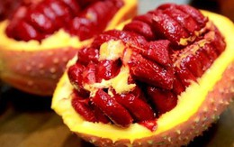 Thăm chiến trường xưa, người lính già biến loài cây ruột đỏ thành "vàng ròng": Thu 25 tỷ mỗi năm