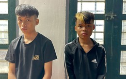 Bắt 2 anh em Đào Duy Hổ và Đào Duy Gấu
