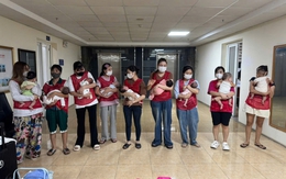 Đường dây mang thai hộ vừa bị triệt phá: Bà trùm Quách Thị Thương nhận lương 1000 USD/tháng