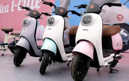 Thủ tướng muốn hãng xe máy điện Yadea mở rộng đầu tư tại Việt Nam