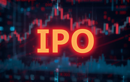 IPO là gì? Quy định tại Việt Nam ra sao?