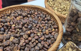 Giá cà phê hôm nay 10-9: Giảm, khối ngoại lấn át thị phần