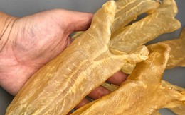 3 bộ phận của cá "quý như vàng" nhưng nhiều người không biết mà ăn, thường vứt vào THÙNG RÁC