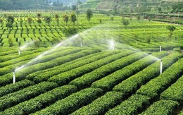 Thêm trường hợp mới sẽ được bồi thường khi Nhà nước thu hồi đất, người dân lưu ý!