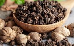 Giá hồ tiêu đi ngang, ổn định trên mức 150.000 đồng/kg