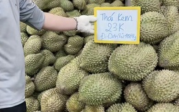 Giá sầu riêng rớt mạnh, nhà vườn tiếc hùi hụi vì không bán sớm