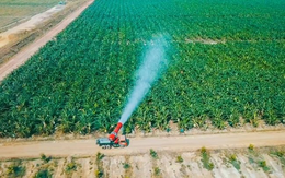 Thaco Agri của tỷ phú Trần Bá Dương có tổng tài sản tăng vọt lên hơn 67.000 tỷ đồng, vượt Becamex, gấp 3 lần HAGL