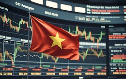 Cá nhân ồ ạt đổ tiền, một lĩnh vực kinh tế của Việt Nam bước vào thời kỳ 'siêu sôi động'"