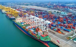 Ba cảng biển Việt Nam lọt top lớn nhất thế giới, xếp loại đặc biệt
