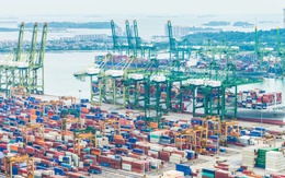 PTN Logistics – Giải pháp logistics trọn gói giúp doanh nghiệp Việt vươn tầm quốc tế