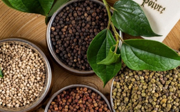 Giá tiêu hôm nay 11/9: Tiêu xuất khẩu của Việt Nam bất ngờ tăng vọt