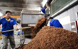 Giữa căng thẳng thương mại với Washington, Trung Quốc bắt tay với nước đối tác BRICS, ‘giáng đòn’ vào thị trường tỷ USD của Mỹ