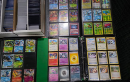 Không phải chứng khoán hay tiền số, 1 loại tài sản lợi nhuận tích luỹ tháng tới 3.821% khiến nhà đầu tư ‘mê mẩn’, chấp nhận rủi ro 1 vết xước cũng khiến giá trị về 0