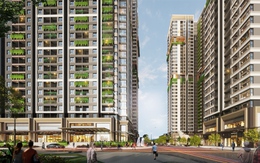 Phát Đạt lập công ty con mới: Tín hiệu tăng tốc phát triển kinh doanh