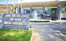 Thay đổi lô trái phiếu 1.000 tỷ của Công ty con Hoàng Anh Gia Lai (HAG): Giảm lợi tức được chia từ các công ty trông dâu tằm và cà phê còn 11,5%