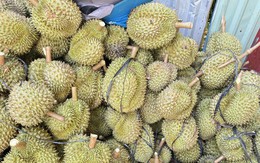 Sầu riêng sượng nước rớt giá mạnh, khắc phục được không?