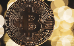 Một doanh nghiệp trên UPCoM muốn triển khai sàn giao dịch tài sản số 10.000 tỷ đồng tại Đà Nẵng