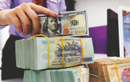 Vì sao tỷ giá USD và lãi suất tiết kiệm chịu áp lực tăng?