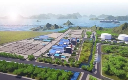 'Tối hậu thư' liên quan dự án điện khí 2,2 tỷ USD ở Quảng Ninh