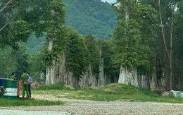 Bộ Công an khởi tố, bắt tạm giam 5 cán bộ ở Gia Lai