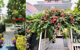 Nữ diễn viên Mưa Đỏ: Trong phim đau khổ khóc cạn nước mắt, ngoài đời sống chill với cơ ngơi 4 tầng phủ kín hoa!