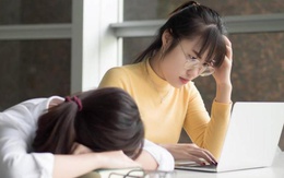 Sinh viên hoang mang: Ra trường để làm nghề... trái ngành?