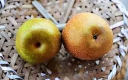 Mua lê đừng dựa vào kích thước, biết 5 điều này sẽ chọn được lê ngon