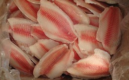 Mỹ, Brazil “thích mê” sản vật trị giá hơn 10 tỷ USD, Việt Nam có trữ lượng 300 nghìn tấn/năm