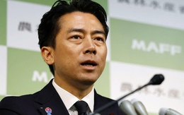 Nhật Bản: Cuộc đua "song mã" đến vị trí chủ tịch LDP?