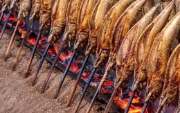 Một 'mỏ vàng' của Việt Nam được Mỹ, Trung Quốc tích cực mua hàng: thu về hàng tỷ USD, cả thế giới nuôi nhưng chỉ nước ta tạo ra ngành công nghiệp