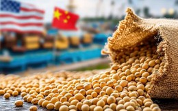 Giữa mùa cao điểm, triệu tấn hàng Mỹ thất thu tỷ USD vì Trung Quốc ‘ngó lơ’, chọn nguồn Brazil