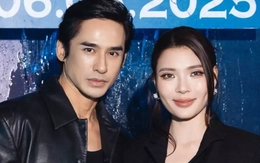 Thúy Diễm mong kết thúc mọi chuyện