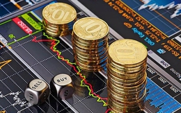 Nhà đầu tư đồng tiền mã hoá dưới đây cần liên hệ ngay với công an Tuyên Quang