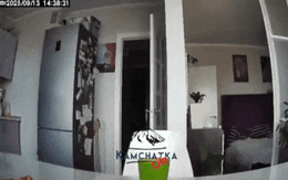 Nga: Động đất cực mạnh, kích hoạt cảnh báo sóng thần ở Kamchatka