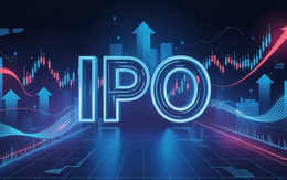 Dragon Capital: Các thương vụ IPO TCBS, VPBankS, Thế Giới Di Động... có thể trở thành chất xúc tác cho thị trường chứng khoán