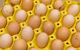 Thứ bẩn nhất trên quả trứng có thể là thứ bạn ăn phải!