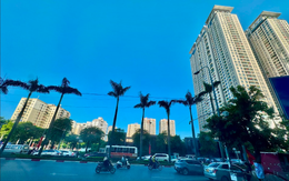 Giá nhà tại các đô thị tăng cao, nhưng giới trẻ vẫn tăng mua nhà ở phân khúc căn hộ